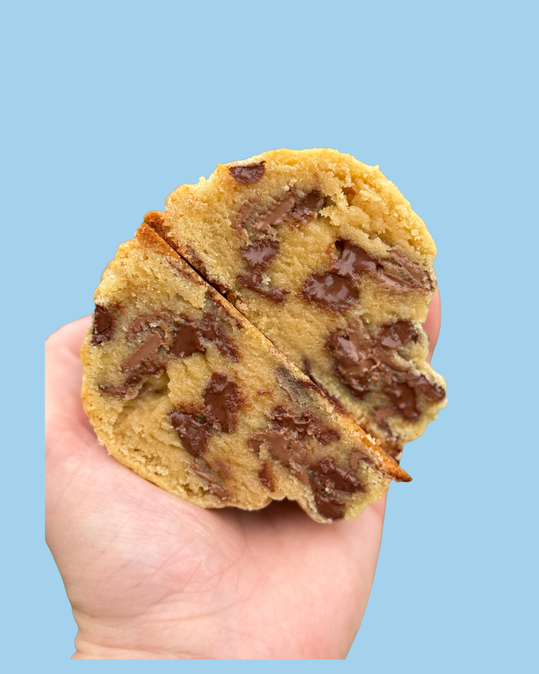 Chocolate Chip Dream